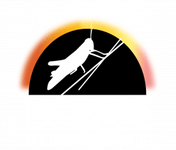 A grasshopper sits on a branch above the words Eclipse Soundscapes.