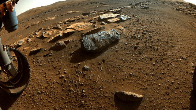 
			Mars Rock Samples - NASA Science			