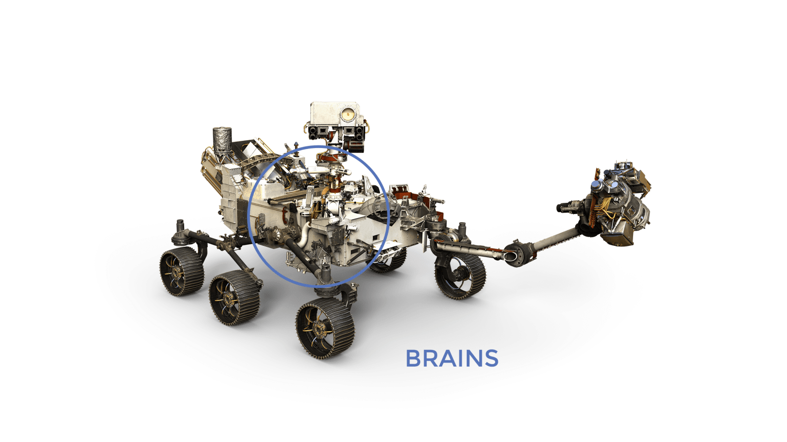 Perseverance Rover brains labeled on model